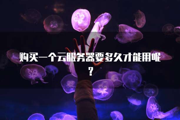 购买一个云服务器要多久才能用呢？