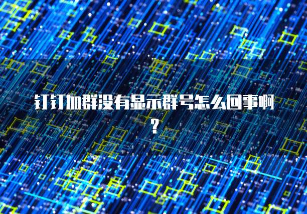 钉钉加群没有显示群号怎么回事啊？