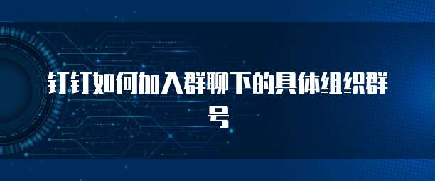 钉钉如何加入群聊下的具体组织群号