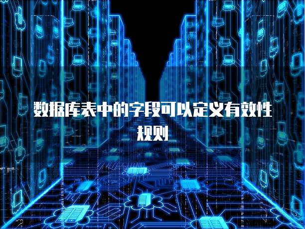 数据库表中的字段可以定义有效性规则