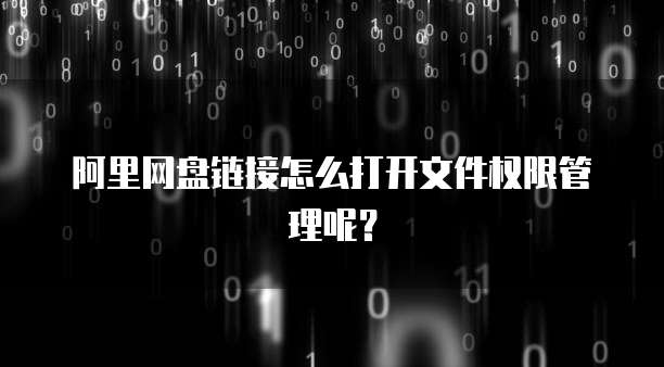 阿里网盘链接怎么打开文件权限管理呢？
