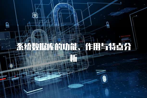 系统数据库的功能、作用与特点分析