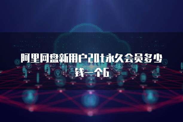 阿里网盘新用户20t永久会员多少钱一个G