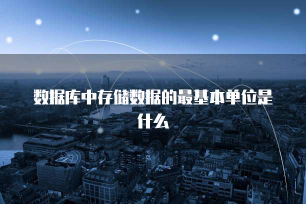 数据库中存储数据的最基本单位是什么