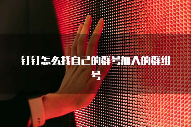 钉钉怎么找自己的群号加入的群组号