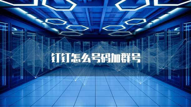 钉钉怎么号码加群号