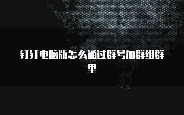 钉钉电脑版怎么通过群号加群组群里
