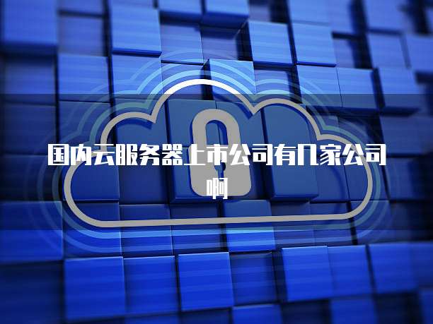 国内云服务器上市公司有几家公司啊