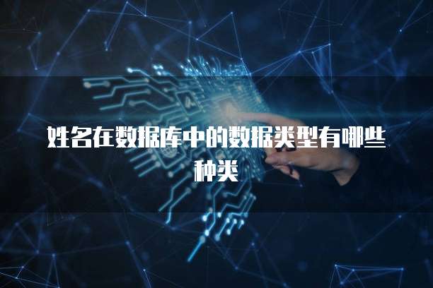 姓名在数据库中的数据类型有哪些种类