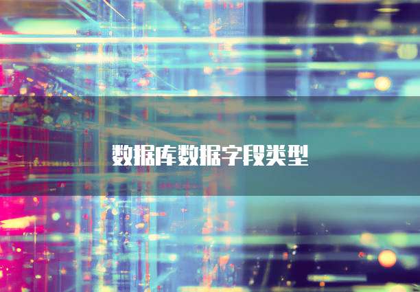 数据库数据字段类型