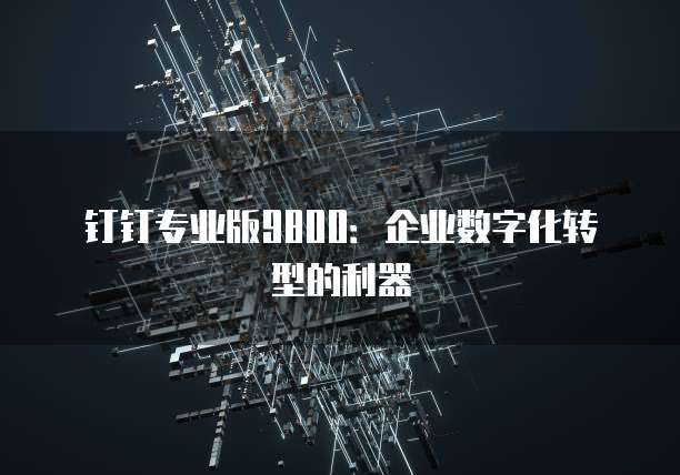 钉钉专业版9800：企业数字化转型的利器