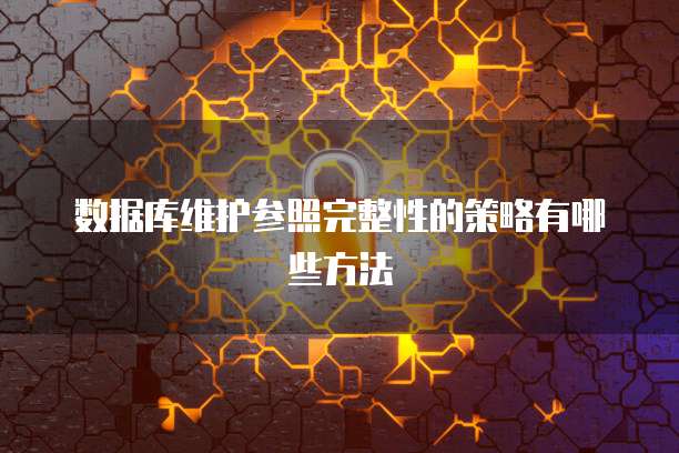 数据库维护参照完整性的策略有哪些方法