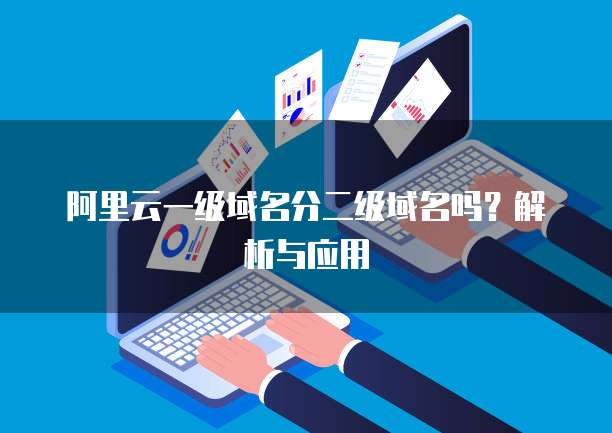 阿里云一级域名分二级域名吗？解析与应用