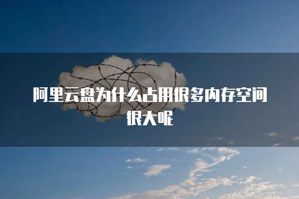 阿里云盘为什么占用很多内存空间很大呢