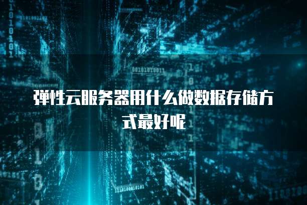 弹性云服务器用什么做数据存储方式最好呢