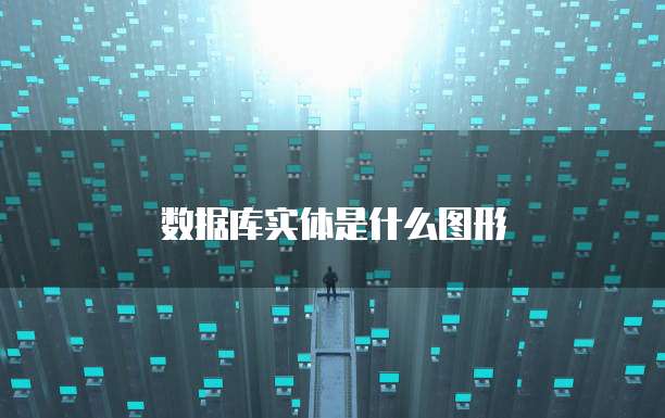 数据库实体是什么图形