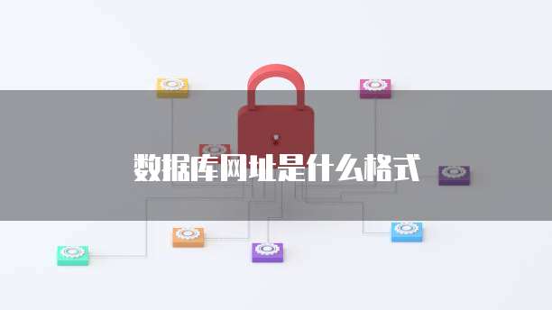 数据库网址是什么格式