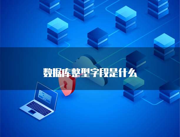 数据库整型字段是什么