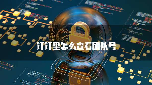 钉钉里怎么查看团队号