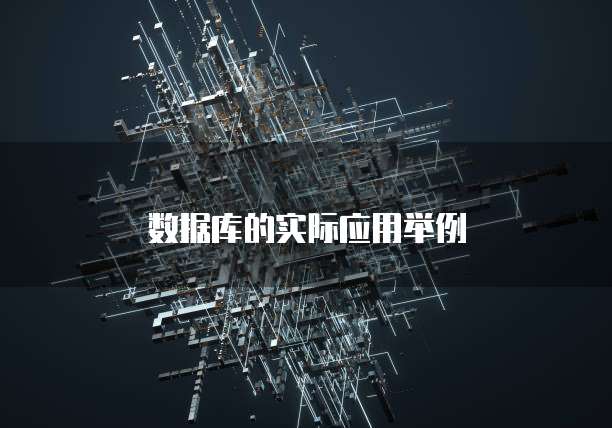 数据库的实际应用举例