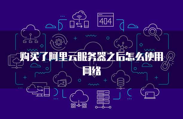 购买了阿里云服务器之后怎么使用网络
