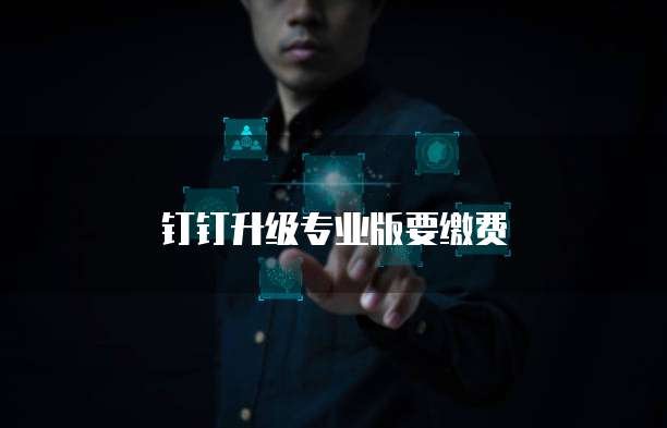 钉钉升级专业版要缴费