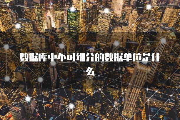 数据库中不可细分的数据单位是什么