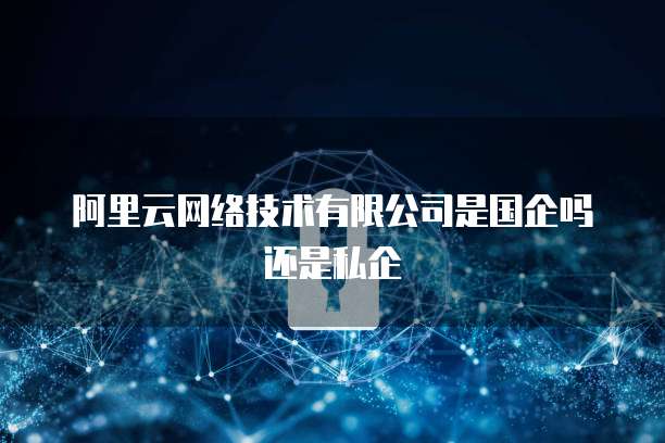 阿里云网络技术有限公司是国企吗还是私企
