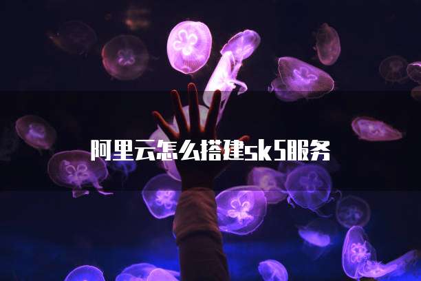 阿里云怎么搭建sk5服务