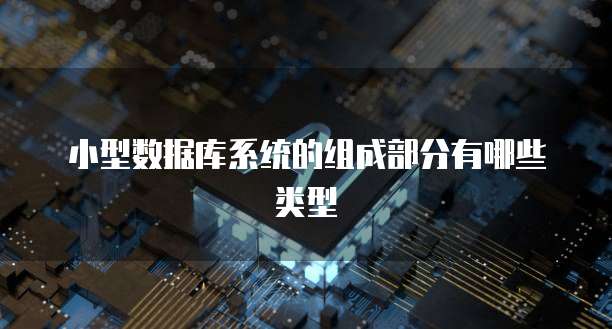 小型数据库系统的组成部分有哪些类型