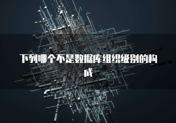 下列哪个不是数据库组织级别的构成