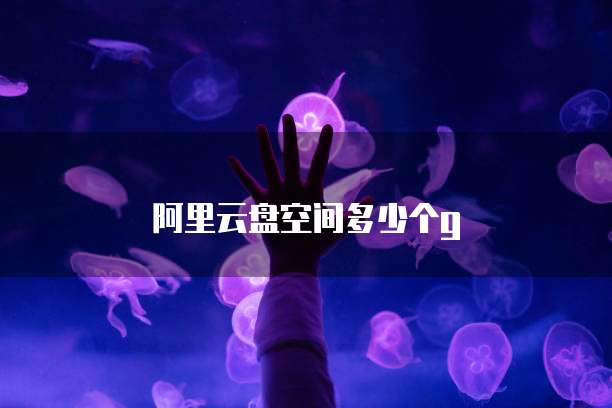 阿里云盘空间多少个g