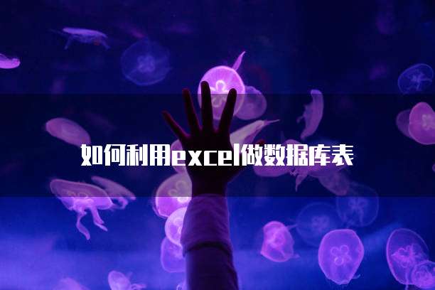 如何利用excel做数据库表