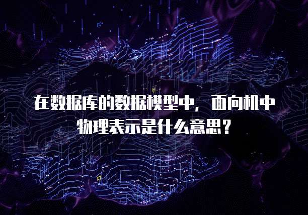 在数据库的数据模型中，面向机中物理表示是什么意思？