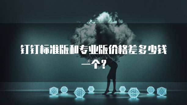钉钉标准版和专业版价格差多少钱一个？