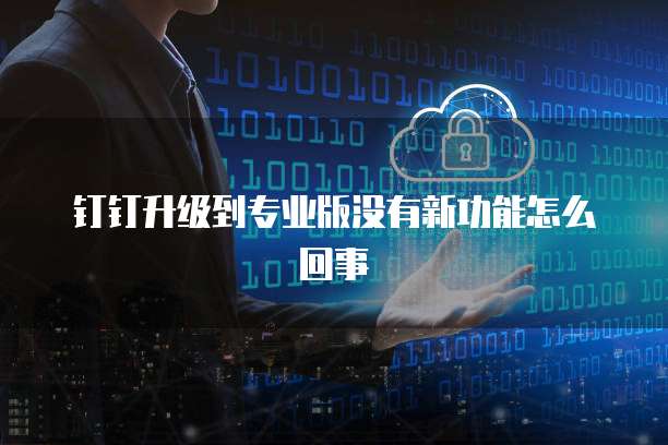 钉钉升级到专业版没有新功能怎么回事