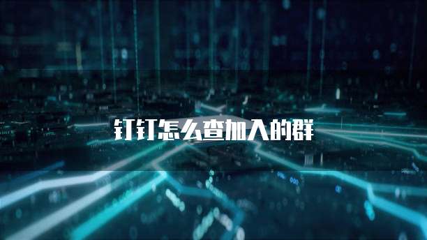 钉钉怎么查加入的群
