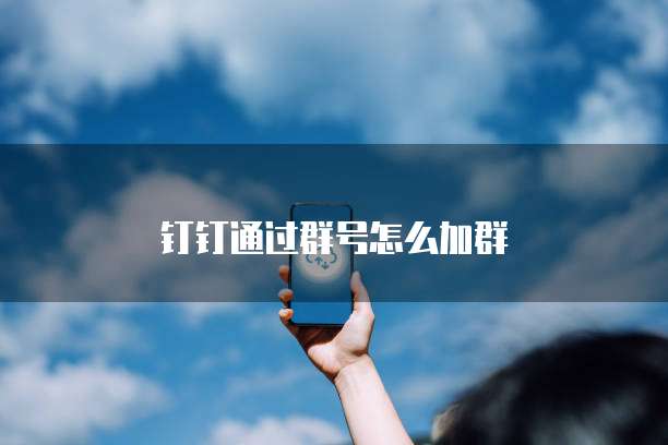 钉钉通过群号怎么加群