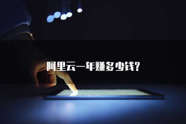 阿里云一年赚多少钱？