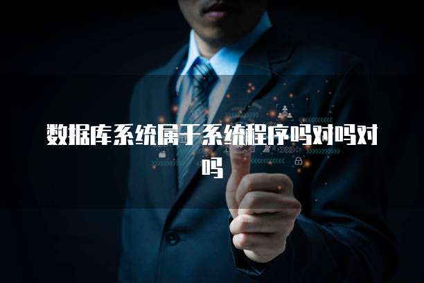 数据库系统属于系统程序吗对吗对吗