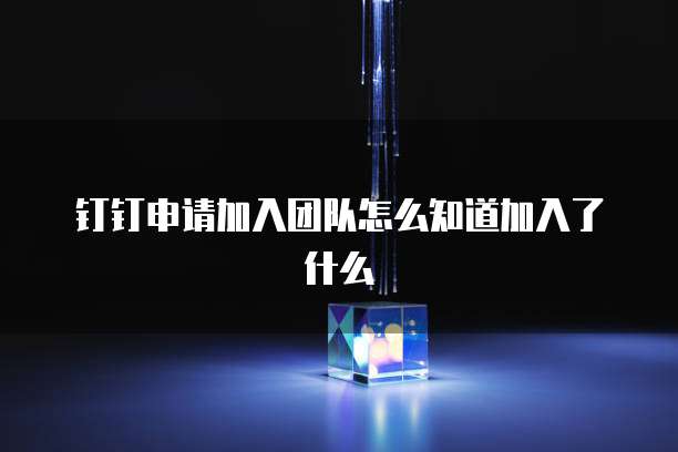 钉钉申请加入团队怎么知道加入了什么