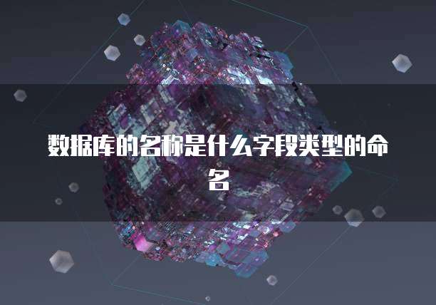 数据库的名称是什么字段类型的命名