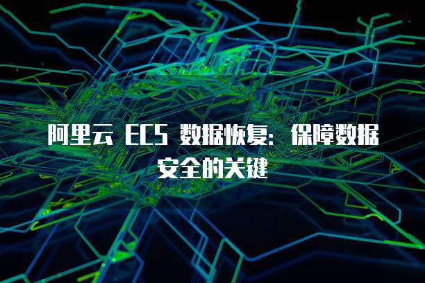 阿里云 ECS 数据恢复：保障数据安全的关键