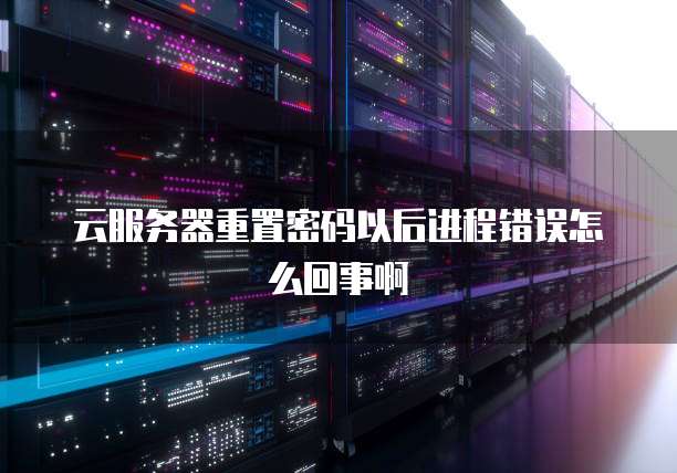 云服务器重置密码以后进程错误怎么回事啊