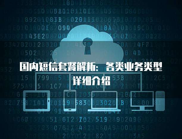 国内短信套餐解析：各类业务类型详细介绍