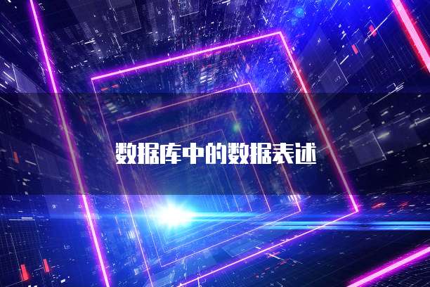 数据库中的数据表述