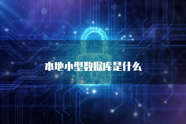 本地小型数据库是什么