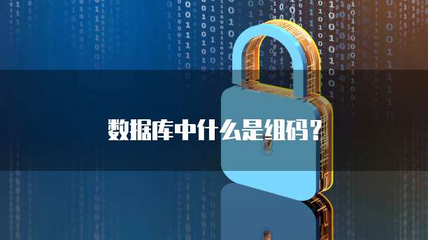 数据库中什么是组码？