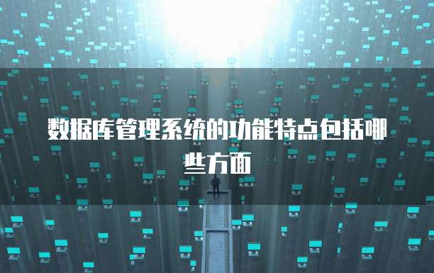 数据库管理系统的功能特点包括哪些方面