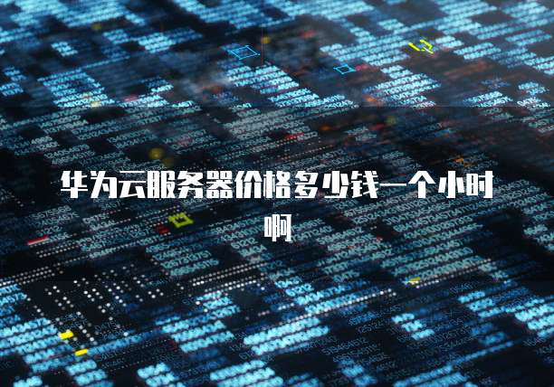 华为云服务器价格多少钱一个小时啊